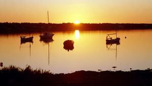 Estanque. Formentera