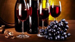 Despejar dudas sobre el vino de la mano de Bodegas Cartema