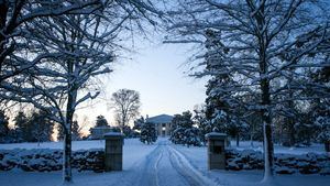 Berry Hill Resort, Virginia 