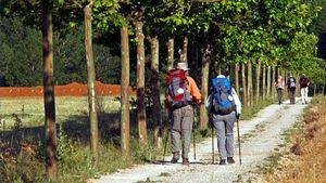 Camino de Santiago