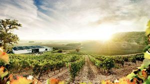 Actividades de enoturismo de Bodegas Cepa 21