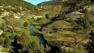 El rico patrimonio natural de Covarrubias