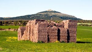 Mercereyes. Burgos. 