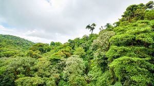 Monteverde Costa Rica