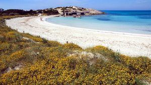 Formentera acoge dos pruebas de natación en aguas abiertas