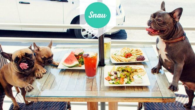 Snau presenta su primer ranking de restaurantes Dog friendly de Madrid