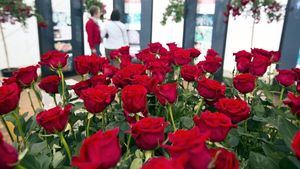 Roses celebra la 7ª Feria de la Rosa los días 2 y 3 de Junio