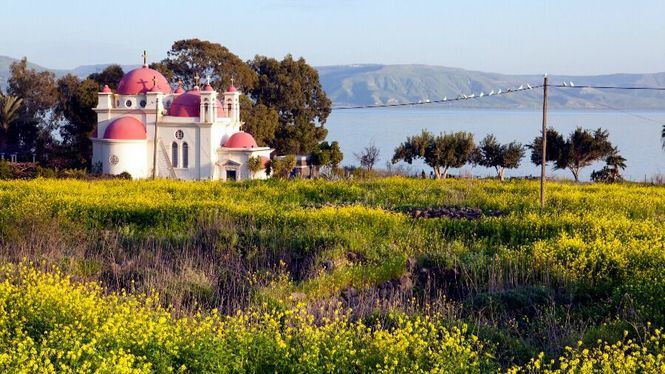 Recolecta de frutos del bosque y turismo activo, opciones para familias en el norte de Israel
