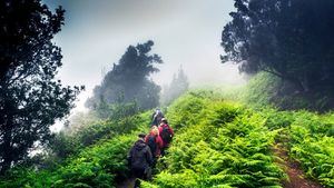 Tenerife, una Isla repleta de experiencias