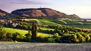 Escapada en bicicleta a las vendimias más hermosas de Moravia