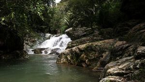 Chocó Andino de Pichincha (Quito, Ecuador)