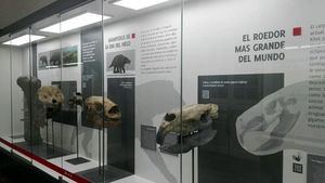 Reabre el Museo de Historia Natural de Uruguay en una nueva sede