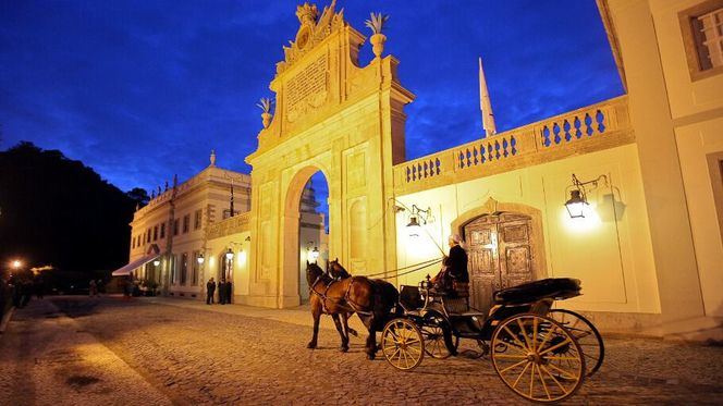 Tivoli Palácio de Seteais estrena la Sala Colares, el edén del turismo enológico
