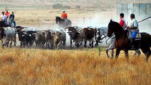 Calendario festivo de Medina del Campo para septiembre