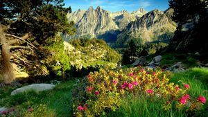 Parque Nacional de Aigüestortes y Lago de San Mauricio con los Encantados al fond