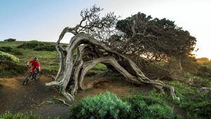 El Cabildo de El Hierro apuesta por la modernización y mejora del sector turístico