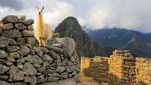 Perú