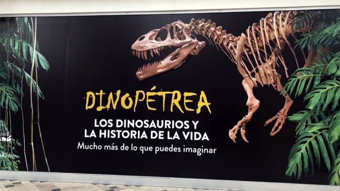 Dinopétrea, exposición itinerante de paleontología llega a Madrid