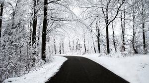 Cinco consejos para elegir las cadenas de nieve para tu viaje en invierno