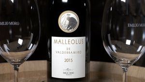 Malleolus de Valderraimro 2015, una añada de vino para enmarcar