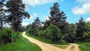 San Zadornil, el Nueva York de los Bosques en la provincia de Burgos