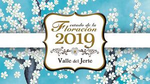 Turismo del Valle del Jerte comienza a informar sobre el estado de la floración 2019