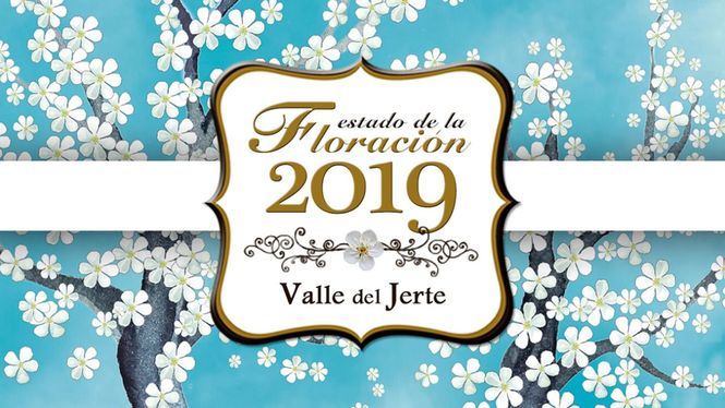 Turismo del Valle del Jerte comienza a informar sobre el estado de la floración 2019