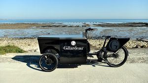 Probar deliciosas ostras en la Isla de Ré gracias a Gillardeau y Peugeot Design Lab