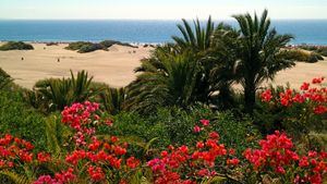 Gran Canaria, la Isla donde los niños sólo tienen prohibido aburrirse