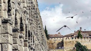 Ruta para descubrir las sorprendentes aves de la ciudad de Segovia