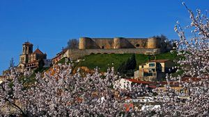 Alcázar y Colegiata. Panorámica