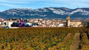 Música entre viñedos en La Rioja Alavesa