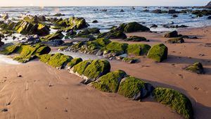 Playa de Barrika