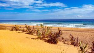 Porto Santo, un refugio caribeño en pleno Océano Atlántico