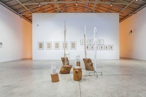 El Museo Helga de Alvear abre la temporada con la primera gran exposición antológica de Carlos Bunga en España