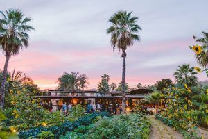 Los Cabos reconocido como destino culinario sostenible en la primera Guía MICHELIN de México