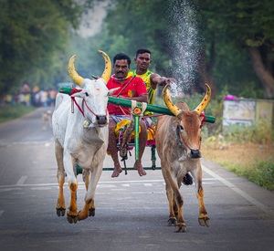 Tamil Nadu, estado del sur de India, apuesta por el mercado español con un stand propio en FITUR