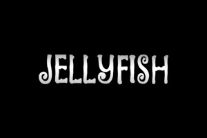 Punta Cana: The JellyFish Restaurant