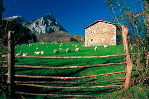 Cifras ocupacion sector turismo rural para Semana Santa