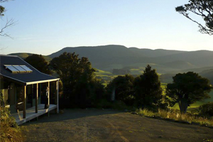 Nueva Zelanda (Isla Sur): Catlins Mohua Park