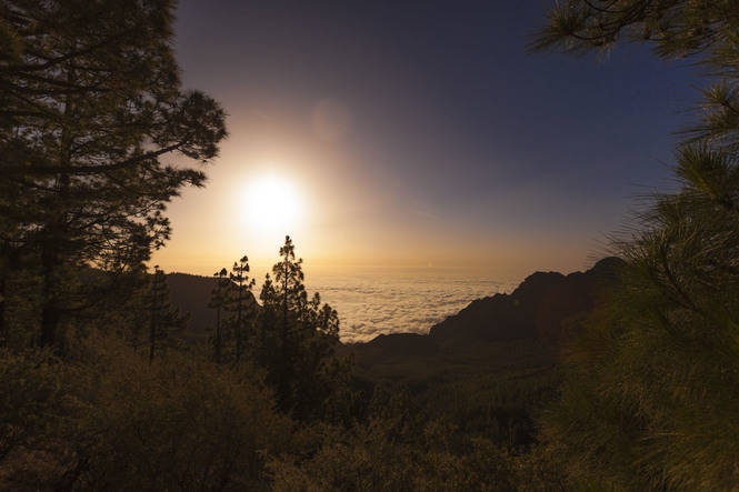 Teide (Parque nacional volcanes legendarios)