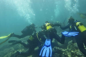 Costa Blanca difunde las múltiples posibilidades de la provincia para la práctica del buceo