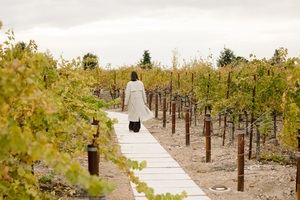Pariente Vivo, nuevo proyecto de José Pariente para transformar la bodega en un ecosistema vivo