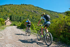 Estas vacaciones, vívelas de una forma diferente con tu bicicleta