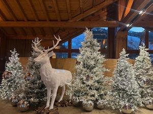 Sport Hotel Hermitage & Spa, en Andorra, despliega su programa de Navidad más brillante y familiar