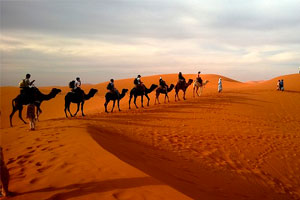 Excursión por el desierto de Jordania