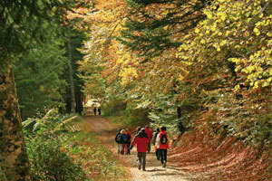 Navarra en otoño: planes para disfrutar de la naturaleza