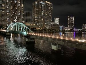 Tokio impulsa una oferta turística más innovadora y de mayor calidad