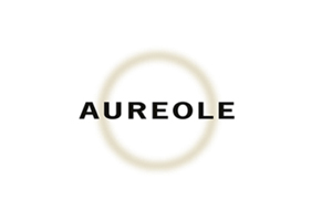 Aureole Las Vegas