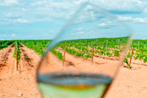 Semana Santa en la Ruta del Vino del Rueda